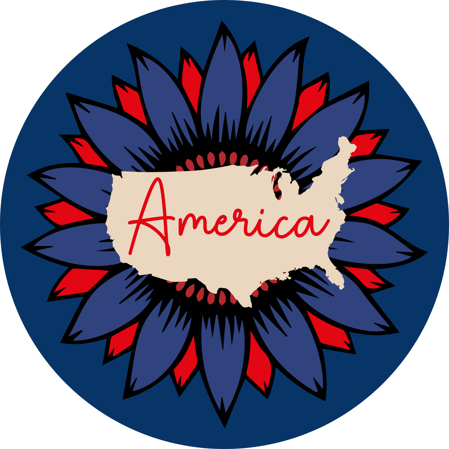 America Metal / Vinyl Sign - Made in USA