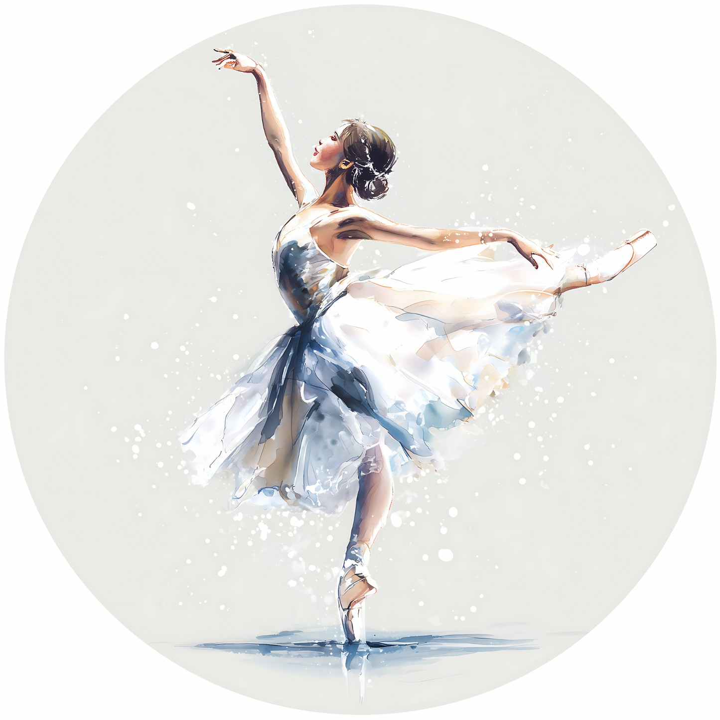 Ballet Dance Metal / Vinyl Sign - Made in USA