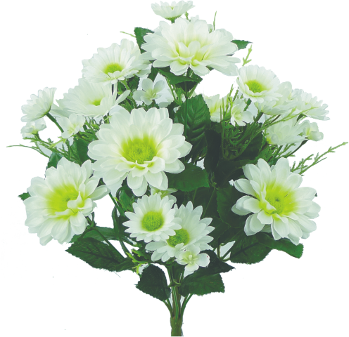 12 Inch Cream Daisy Bush X12