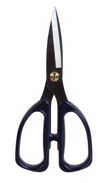 7.25 Inch L - Scissors - Blue Handle BBCrafts.com