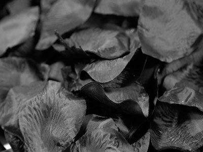 Black - Silk Flower Petal - ( 400 Petals ) BBCrafts.com