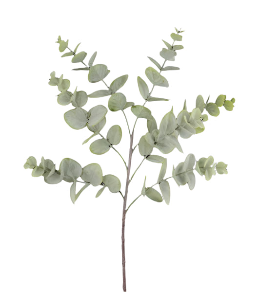 24 Inch L TT Green Spiral Eucalyptus Spray