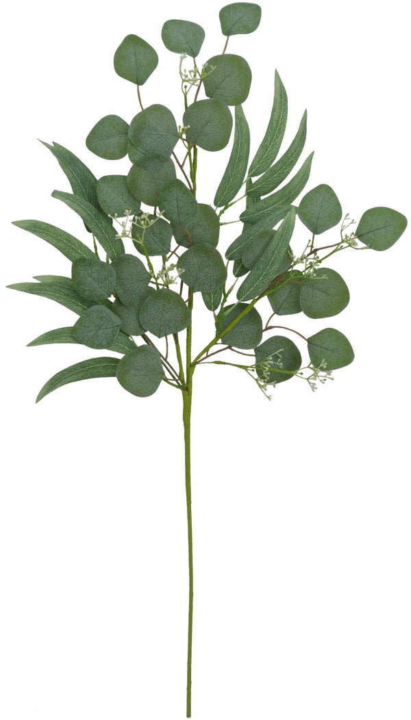 33 Inch Willow Eucalyptus