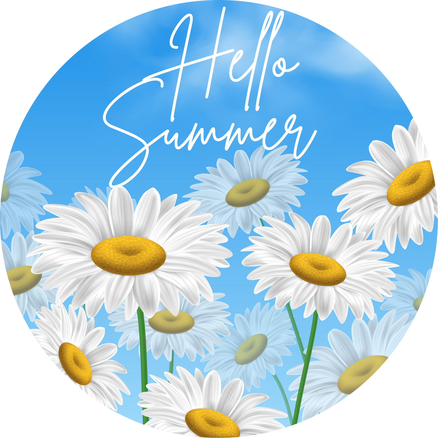 Hello Summer Metal / Vinyl Sign - Made in USA