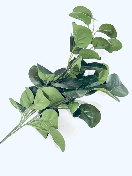 19 Inch Green Eucalyptus Spray