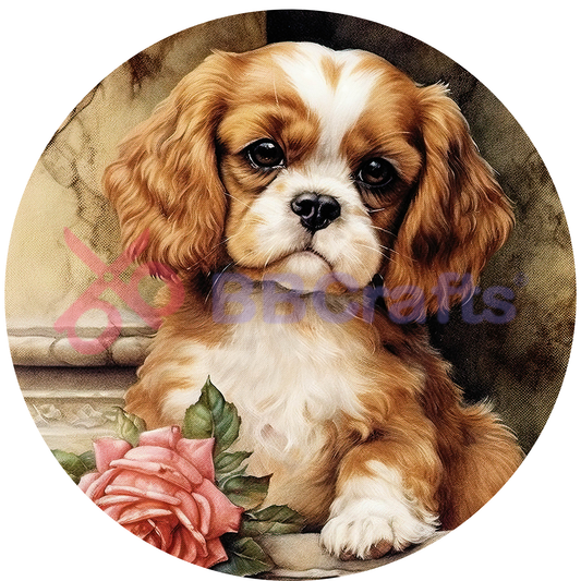 King Charles Spaniel Dog Metal / Vinyl Sign - Made in USA