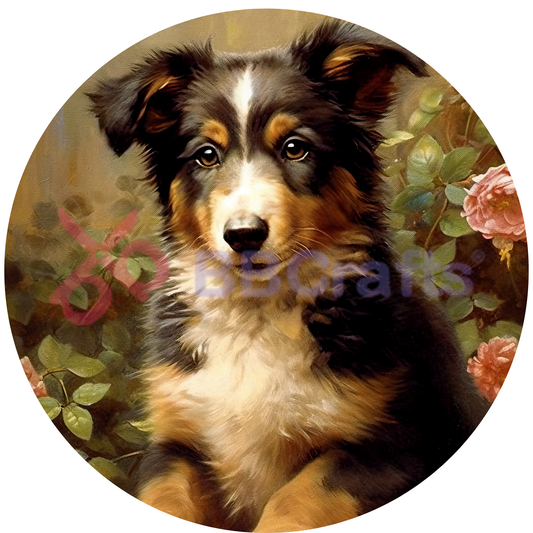 Australian Shepherd Dog Metal / Vinyl Sign - Made in USA