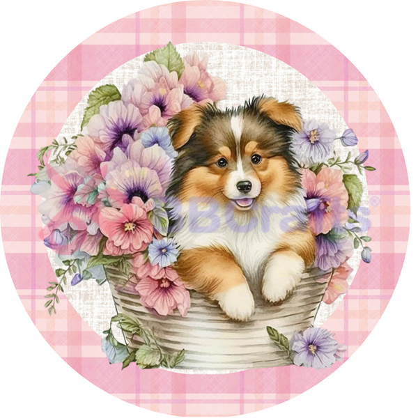 Sheltie Dog Metal Sign - Made In USA