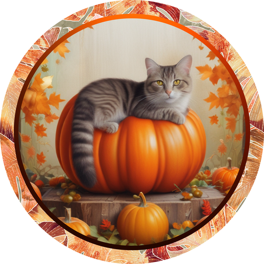 Tabby Cat on a Pumpkin Fall Metal / Vinyl Sign - Made in USA
