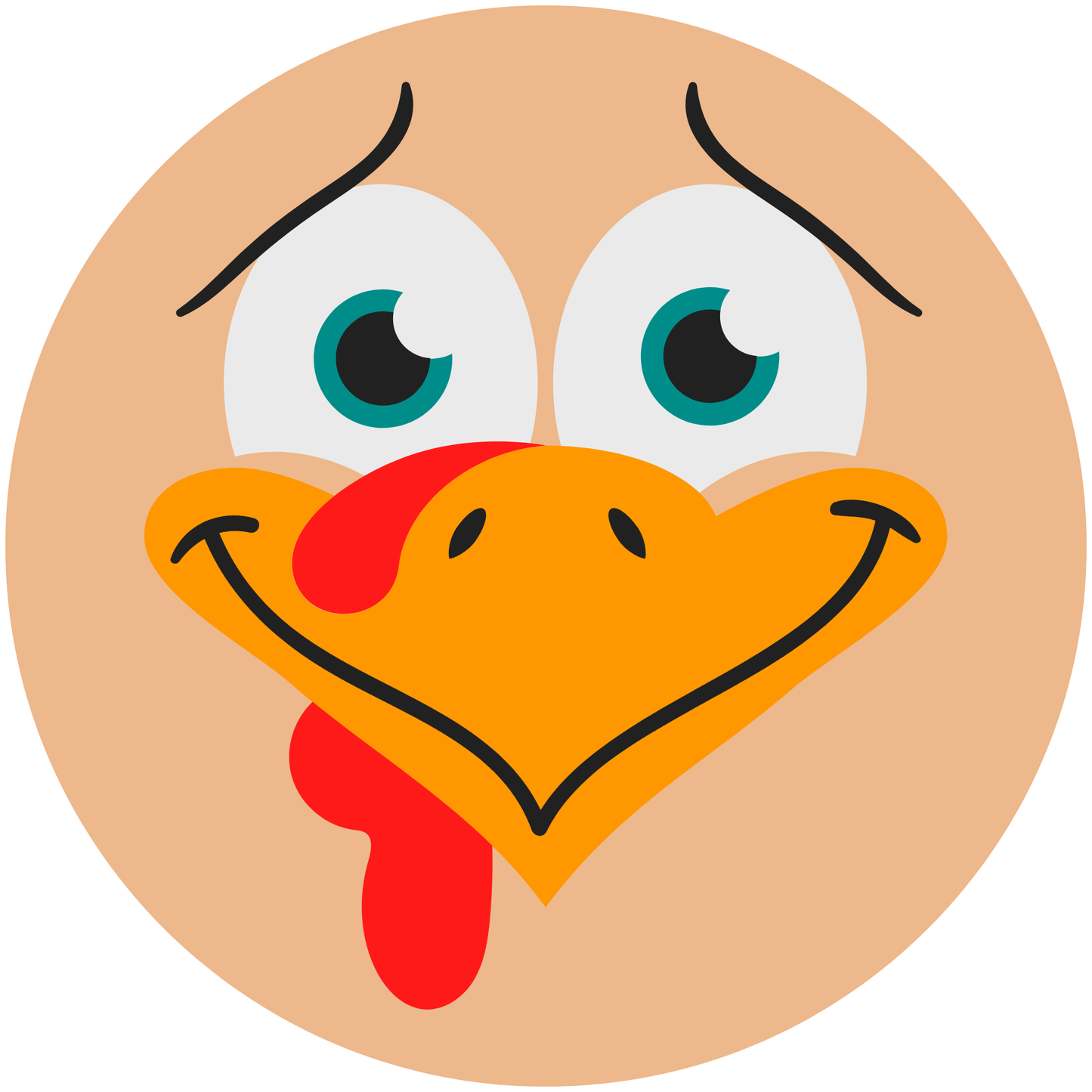 Turkey Metal / Vinyl Sign - Made in USA