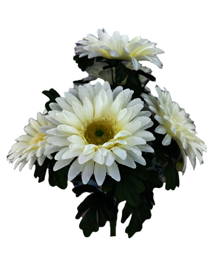 20 Inch Satin Gerber Daisy Bush x 7 - Cream