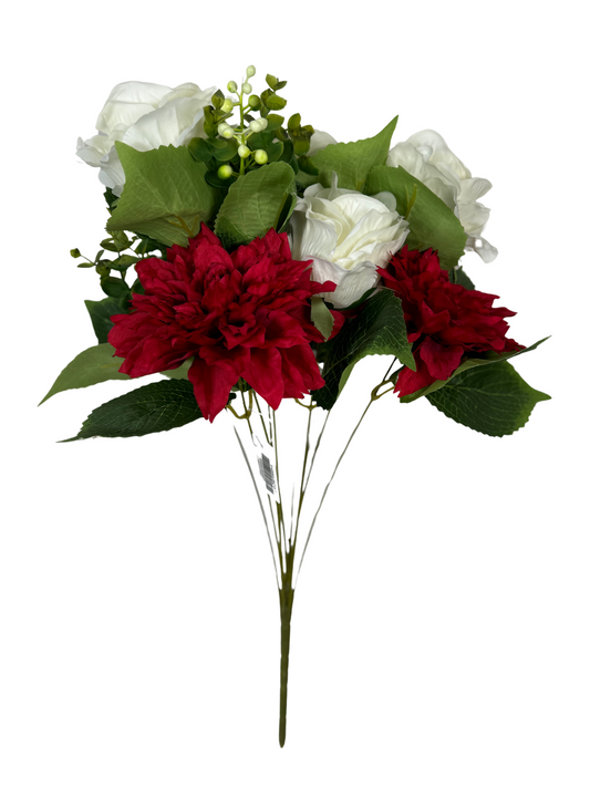 19 Inch Red White Dahlia Rose Bush x 10