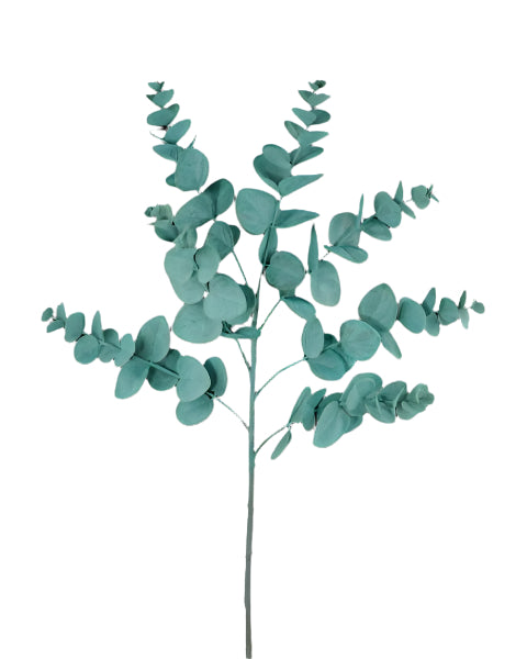 24 Inch L Blue Green Spiral Eucalyptus Spray