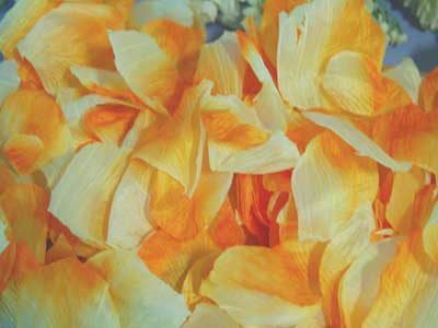 Orange - Silk Flower Petal - ( 400 Petals ) BBCrafts.com