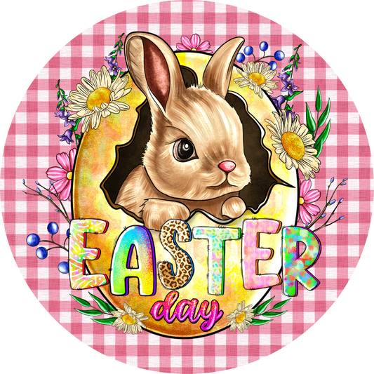 Easter Bunny Day Metal / Vinyl Sign - Made in USA