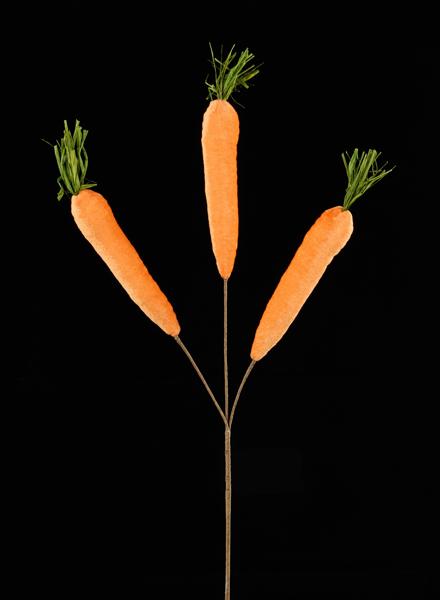 Orange Green - Velvet Carrot Spray X3 - 22 Inch L